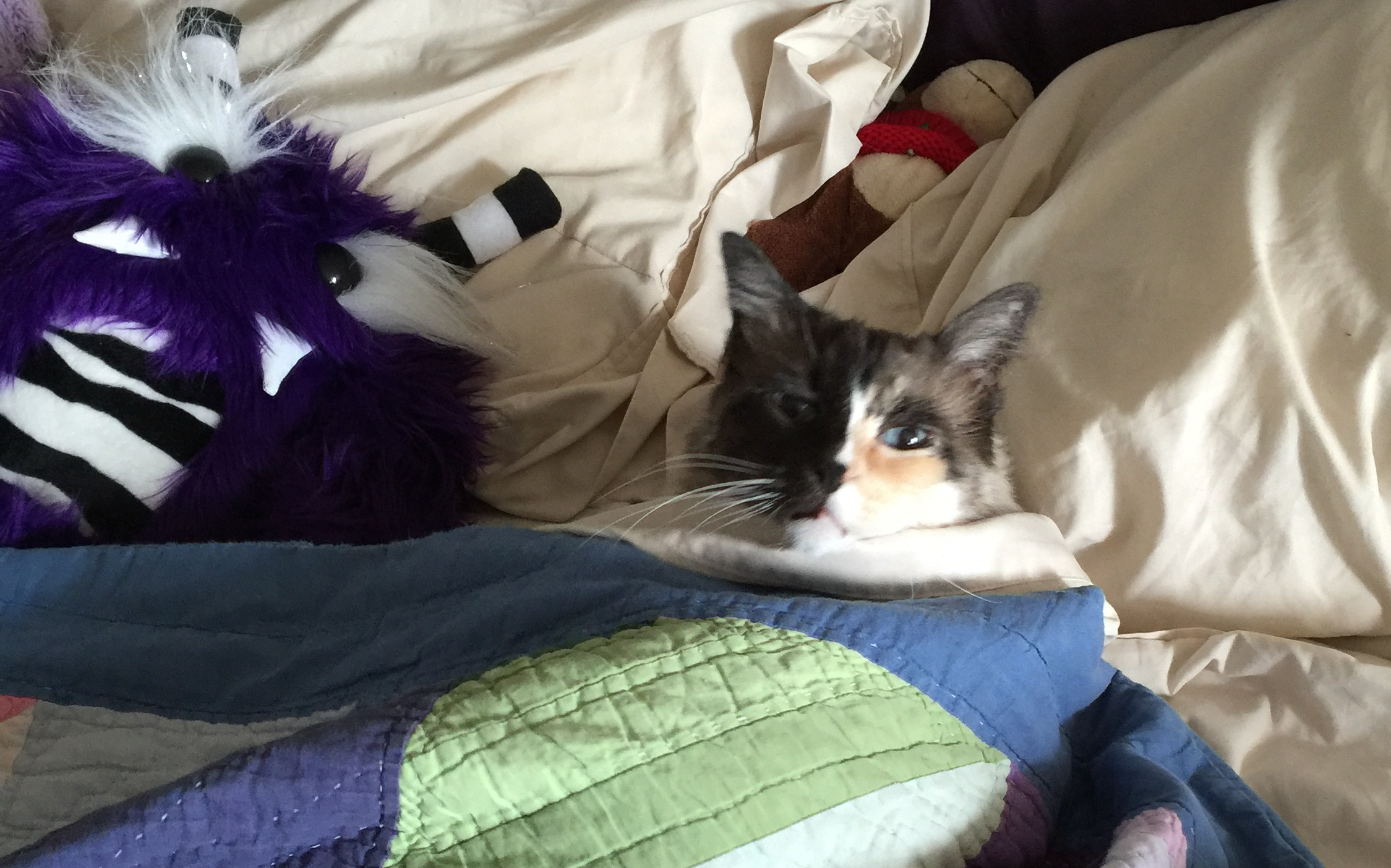 HIGH-DEE UNDER THE COVERS